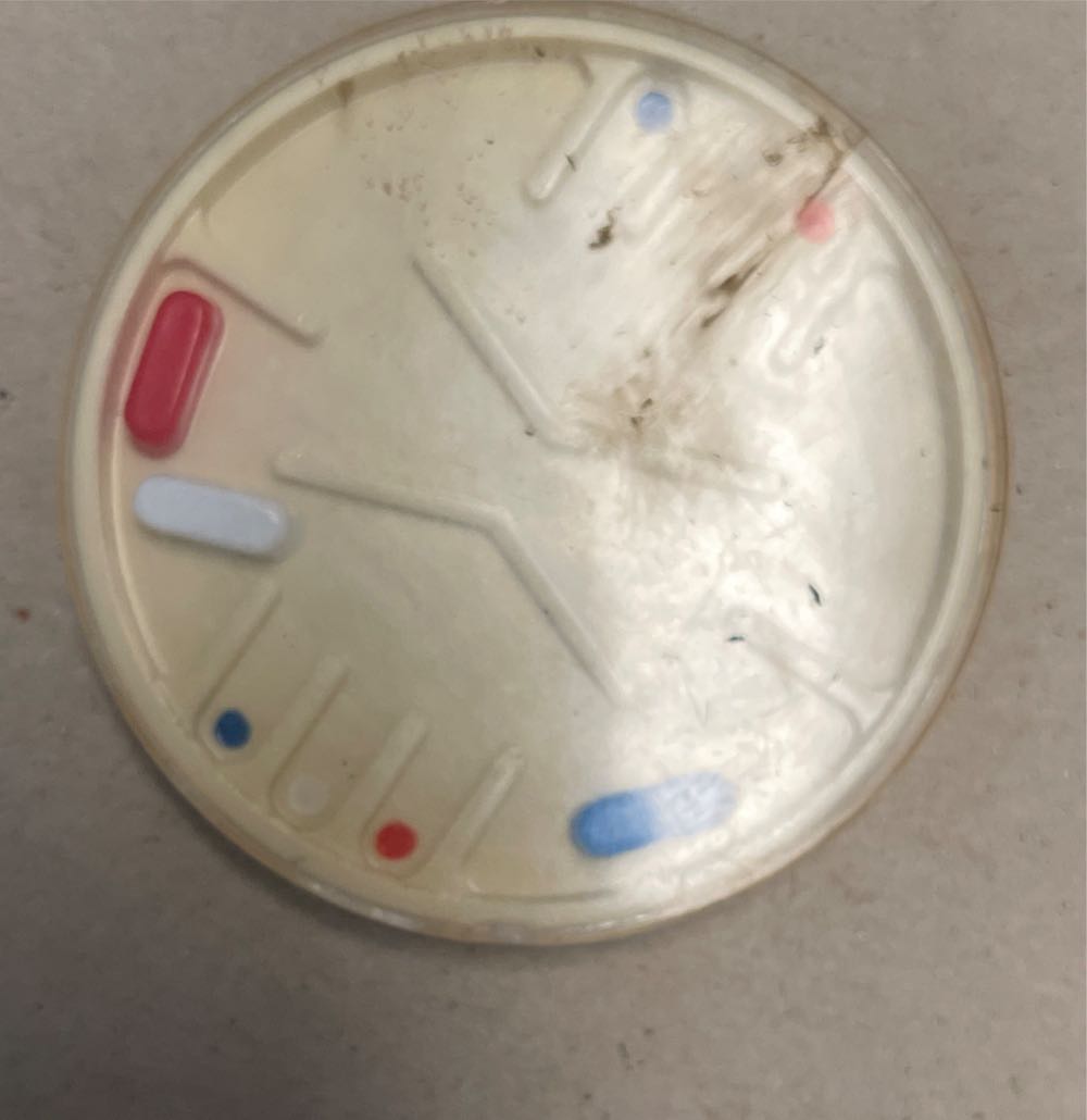 Who Goes There: Blair And Clark Character Expansion Pack Brand New & Sealed