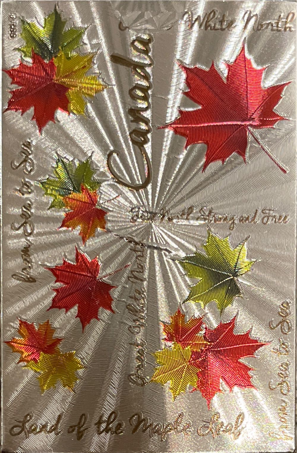 Magic: The Gathering Phyrexia: All Will Be One Collector Booster | 15 Magic Cards