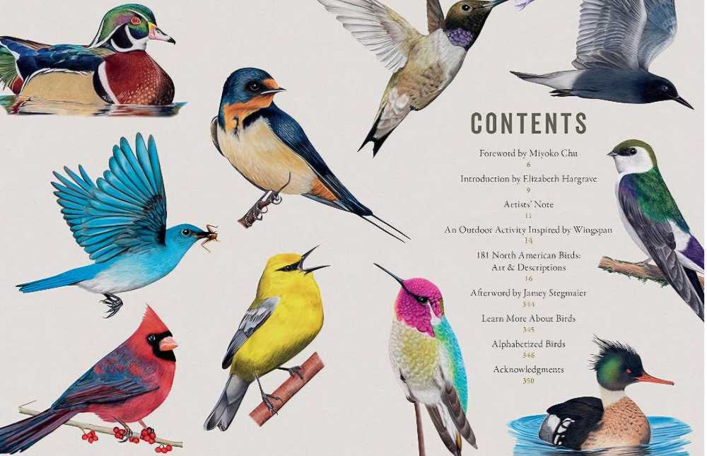 Wingspan: Celebrating Birds - An Interactive Field Guide ( Featuring Art From Wingspan)  (1-5) board game collectible - Main Image 3