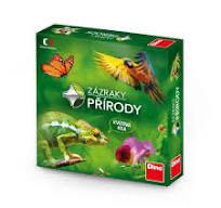 Bingo - Initial Consonants