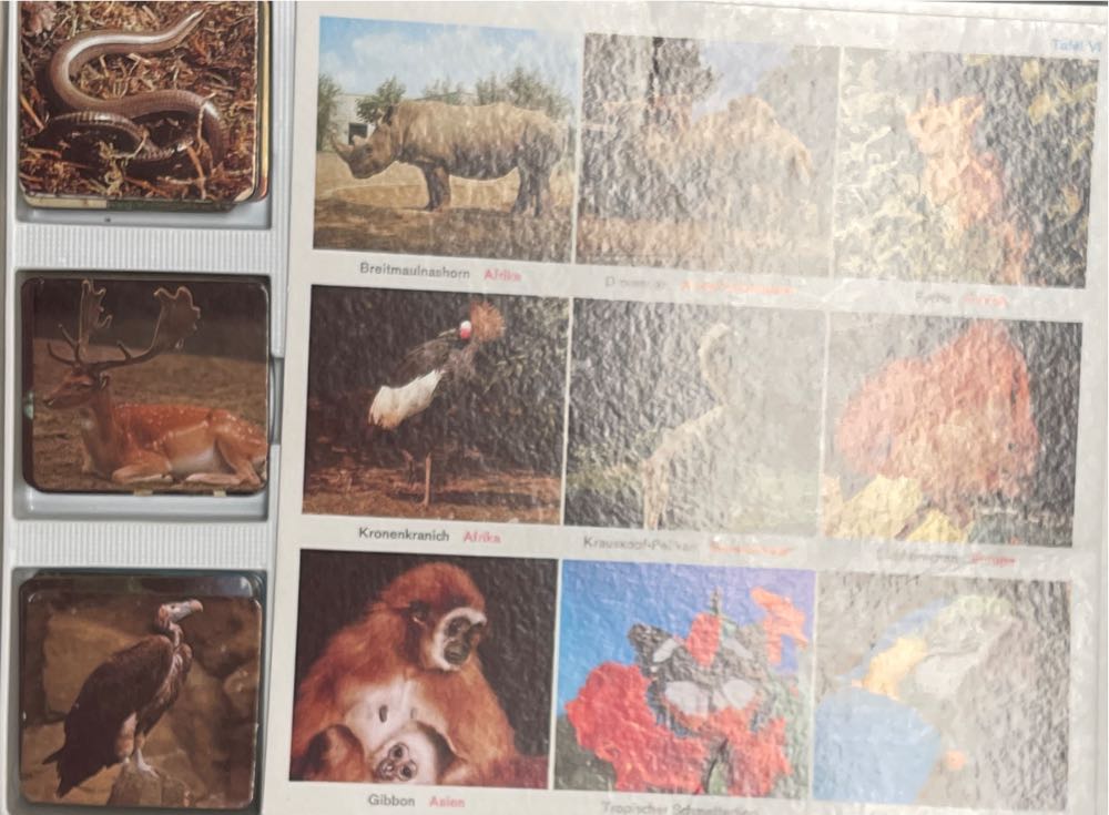 Tierlotto  (2-3) board game collectible - Main Image 3