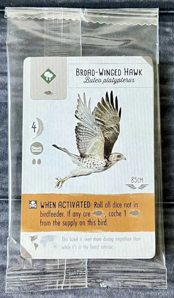 Travel Bingo: ROAD TRIP BINGO (Red Rectangle)