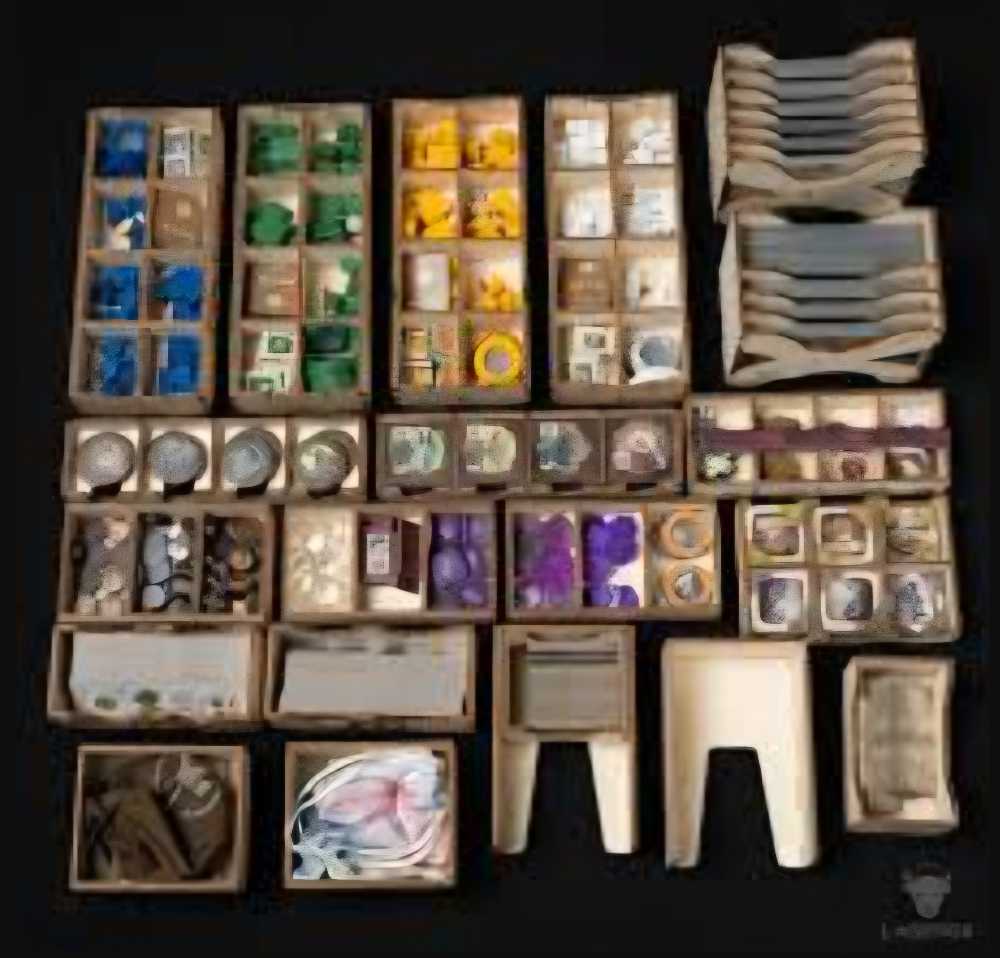 Evolution: Darwin - LaserOx Insert  (2-6) board game collectible - Main Image 4