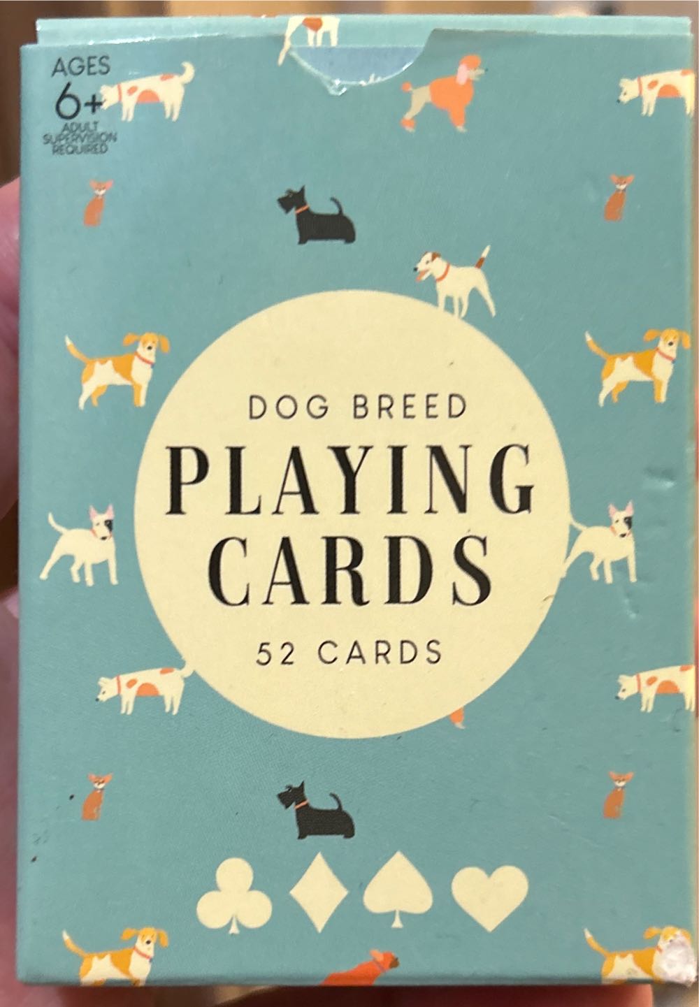 Travel Bingo: ROAD TRIP BINGO (Red Car)