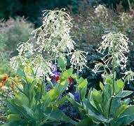 Villen Des Wahnsinns 2nd Grauenvolle Reisen