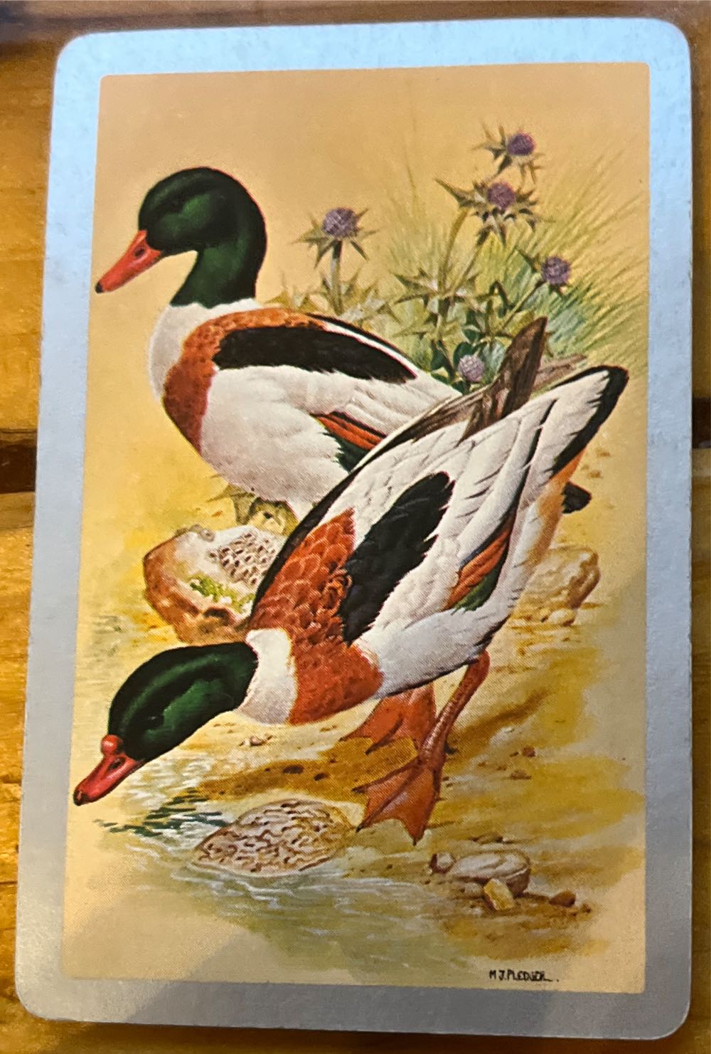 Acheter Spyfall Dc Spyfall Jeux De Société Dc –