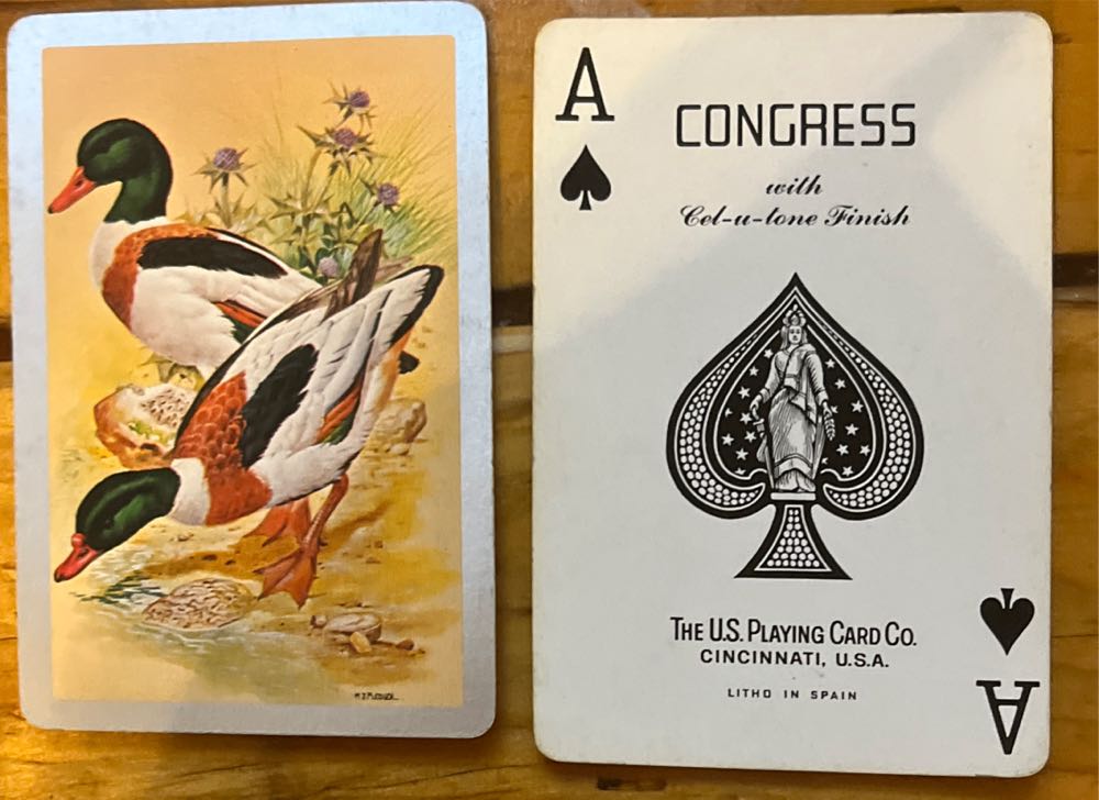 Congress Mallard Ducks. Mj Pledger  board game collectible - Main Image 2