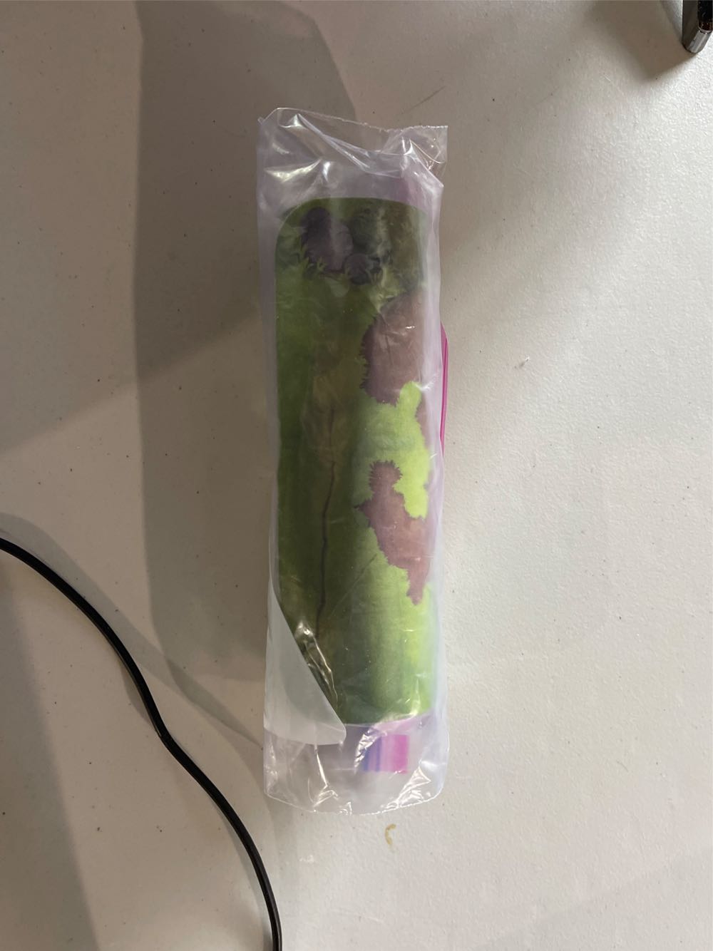 Enchanted Full Screen Edition