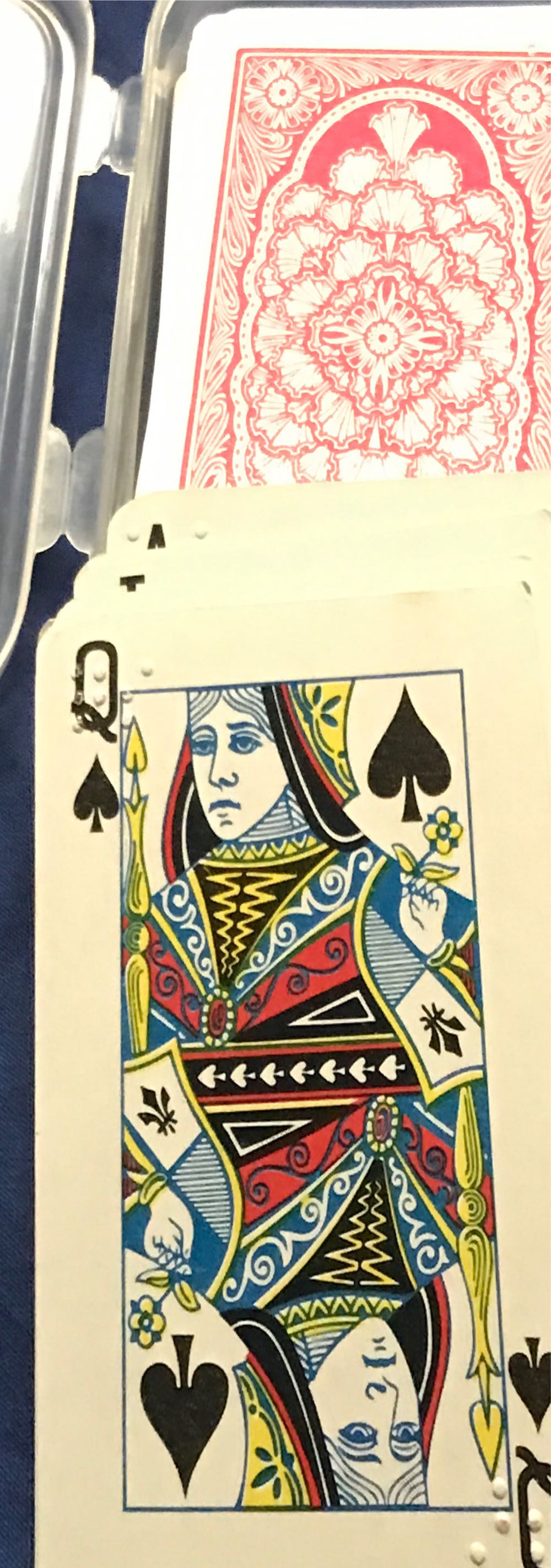 Here Comes The Dog ボードゲーム イヌがきた