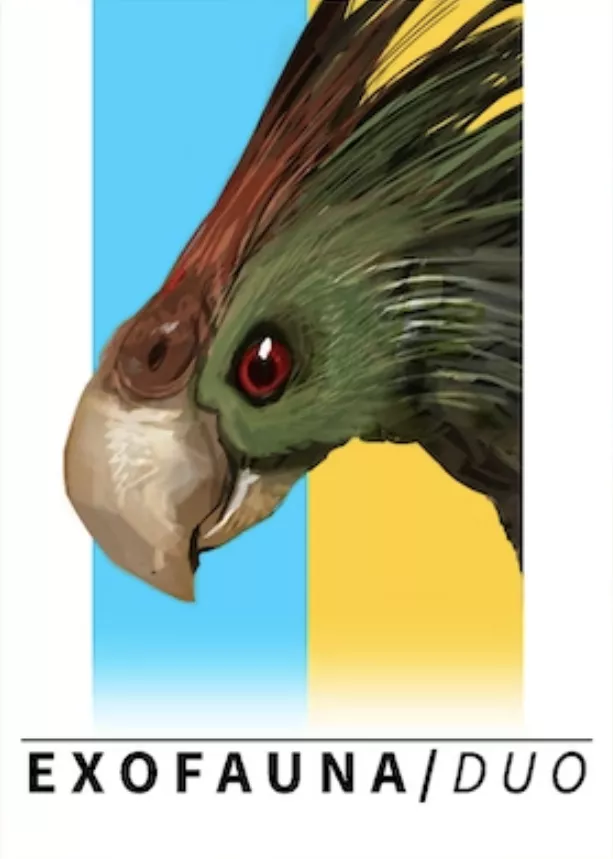 Abacus Spiele Aba08072 Serengeti Card Game