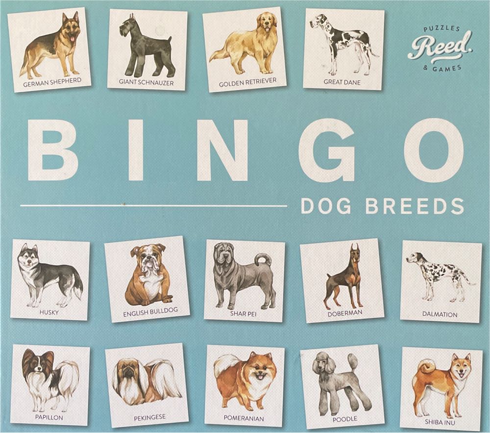 Scavenger Hunt For Kids 