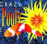 Escape From New York