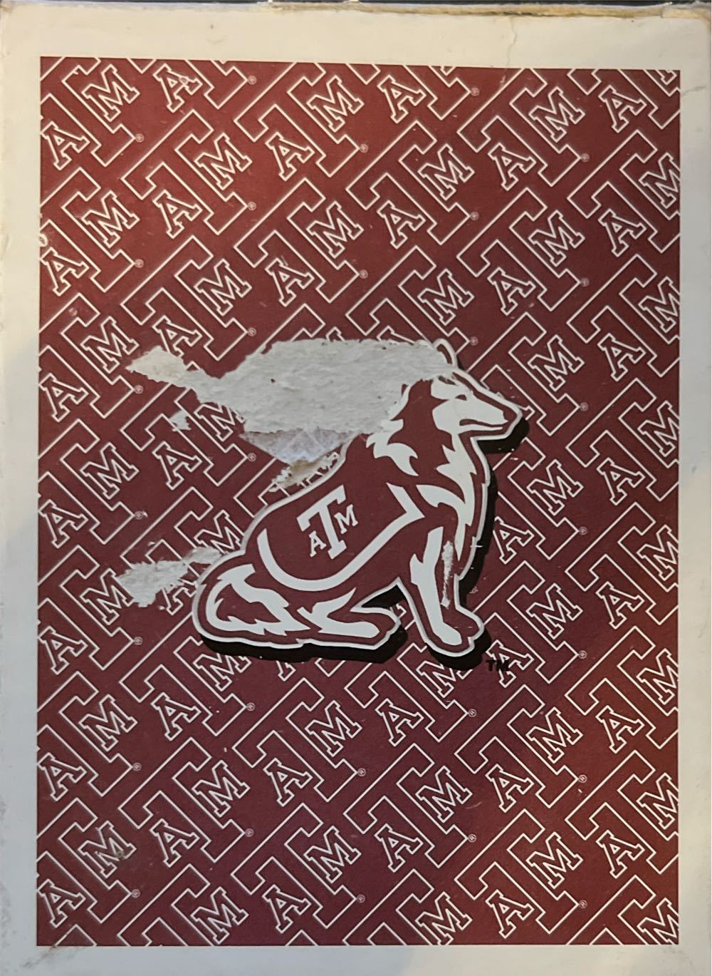 Renegade Game Studios Wardlings Campaign Guide Rpg