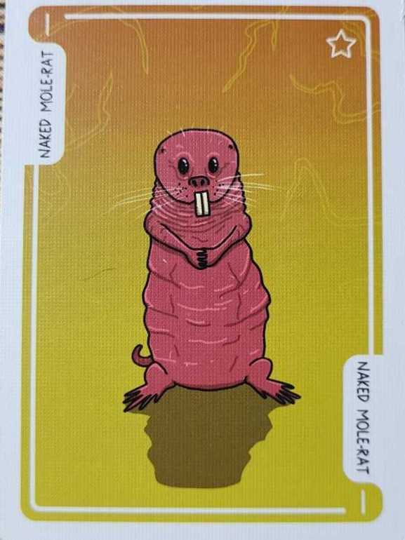 Herdvana: KS Exclusives  board game collectible - Main Image 2