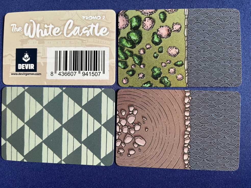 Bunkhouse Field Day Camp Cards & Dice Set