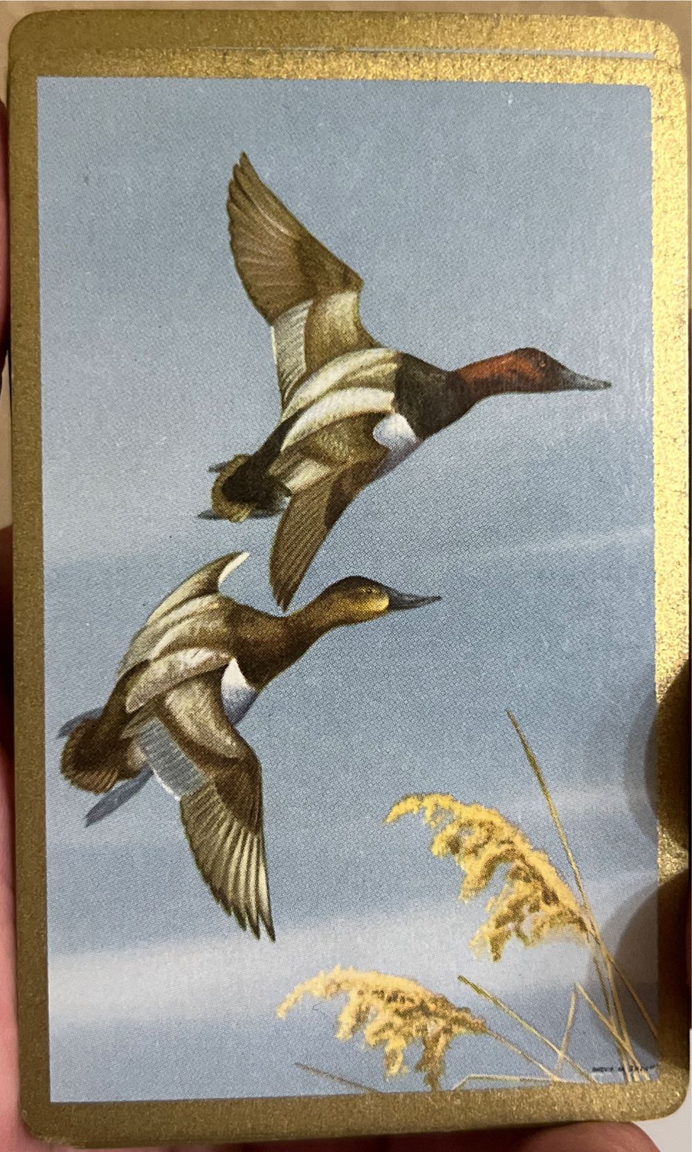 OrangeOpoly Syracuse University