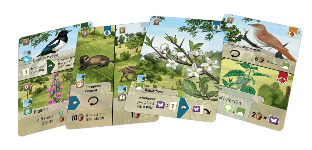 Forest Shuffle: Woodland Edge Expansion Shuffle En Promo  (2-5) board game collectible [Barcode 4260402316536] - Main Image 2
