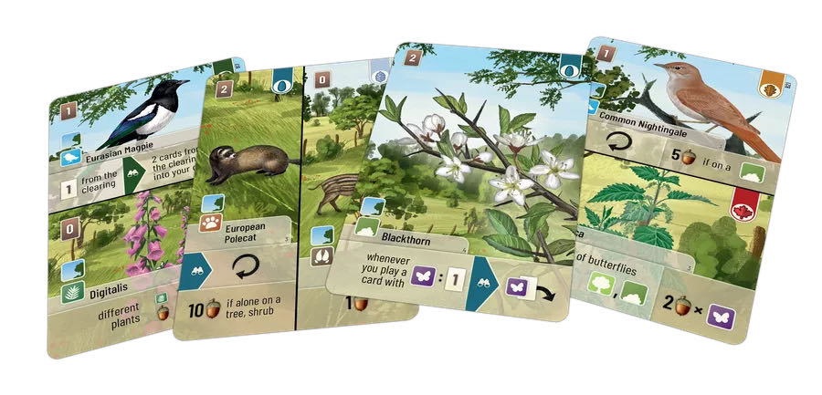 Forest Shuffle: Woodland Edge Expansion Shuffle En Promo  (2-5) board game collectible [Barcode 4260402316536] - Main Image 3