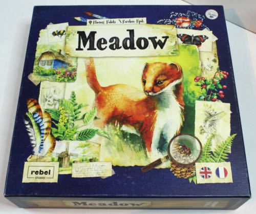 Steve Jackson Games Aw Craps Multicolor