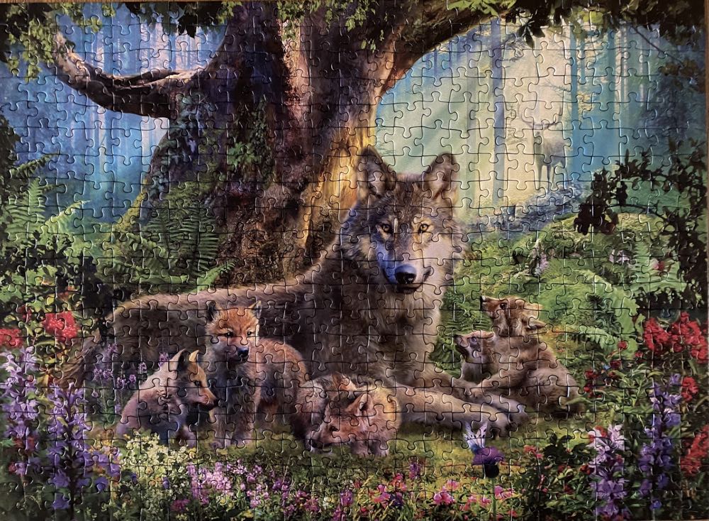 Foxmind Games: Alice’s Adventures In Wonderland Granna Fairytale Board Game Race To Become The Tea Party Champion Family Ages 6 2-4 Players