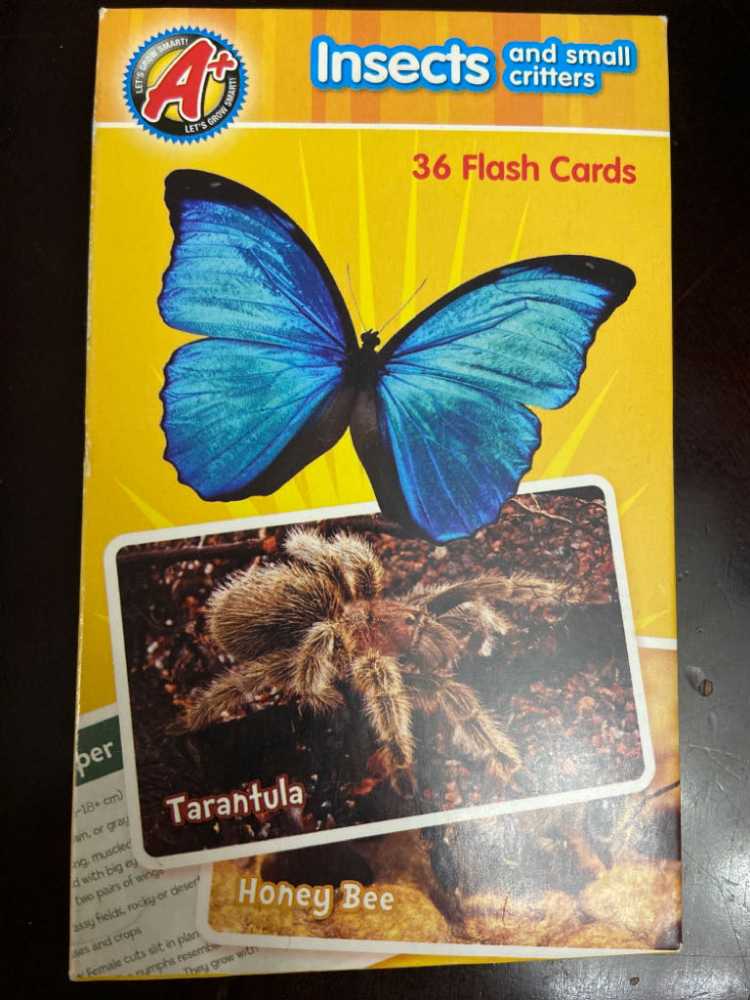 Warpstone: 11 - Autumn 1999