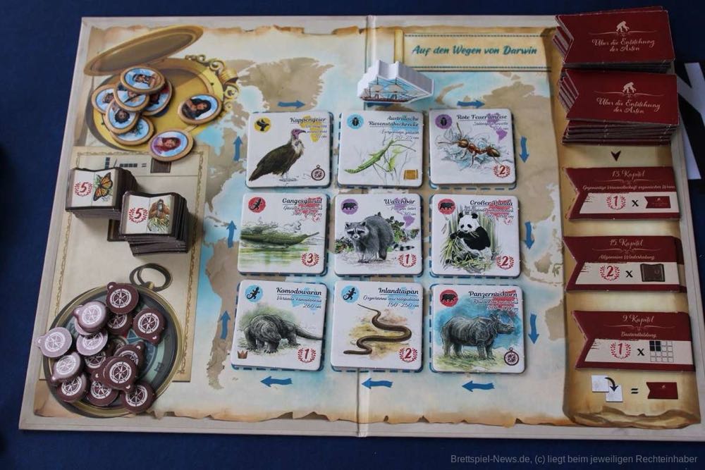 Sorry We Are French On The Paths Of Darwin Family Game 2-5 Players From 8 Years 30 Minutes German  (2-5) board game collectible [Barcode 4015566605008] - Main Image 3