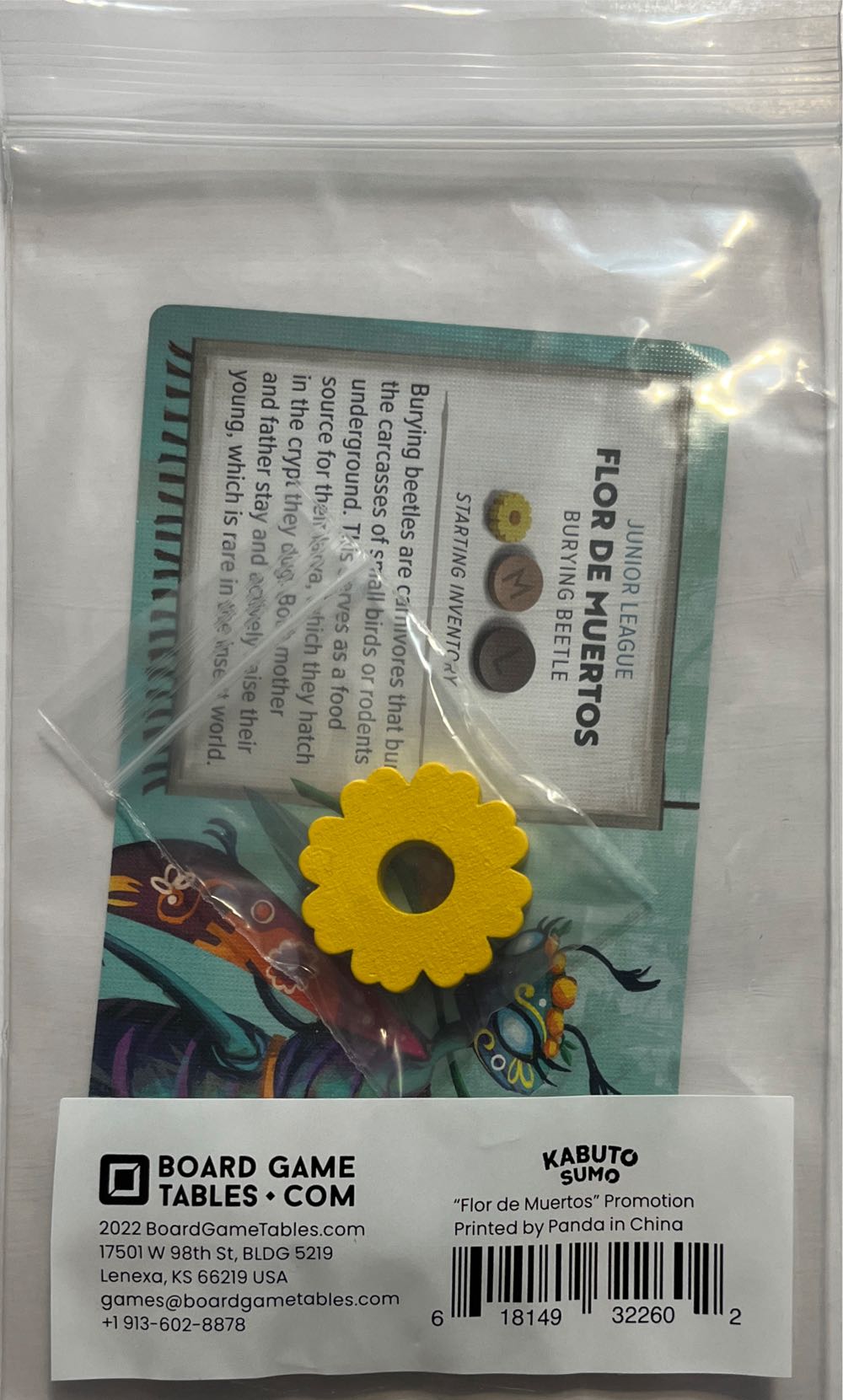 Sur Les Traces De Marie Curie