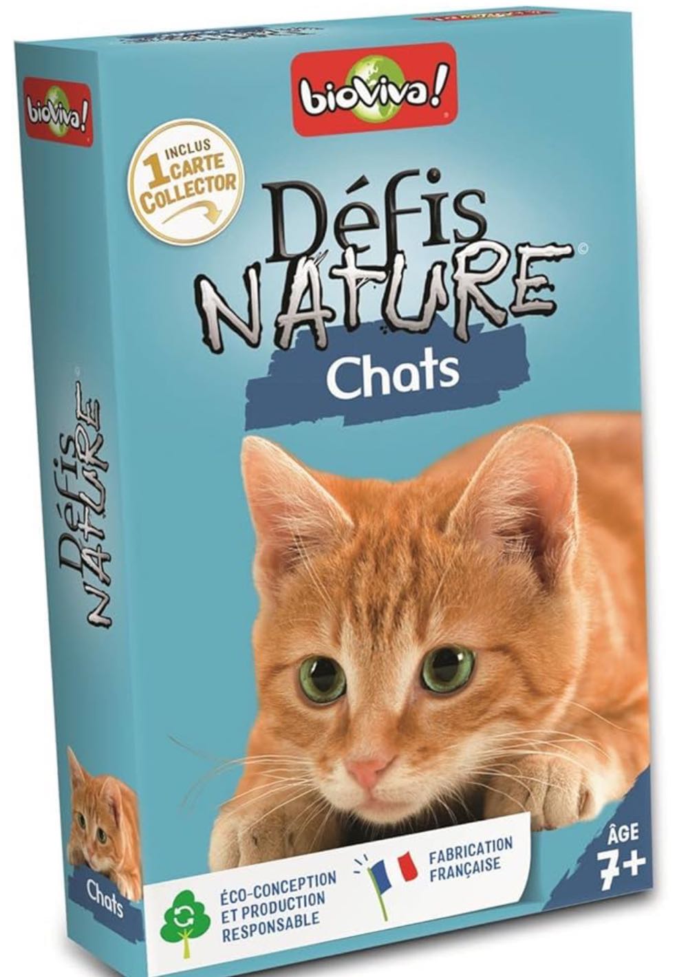 Brain Quest: Grades 1-6