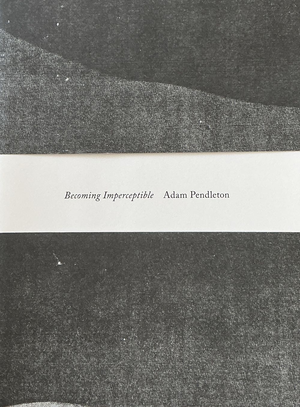 Adam Pendleton: Becoming Imperceptible