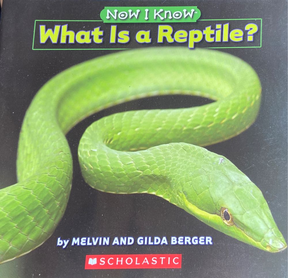 What Is A Reptile
