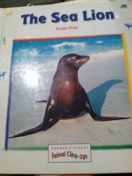 The Sea Lion