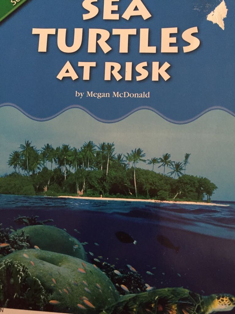 Sea Turtles at Risk