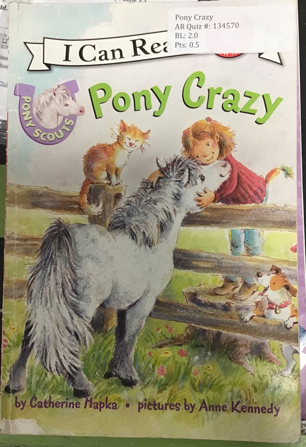 Pony Crazy