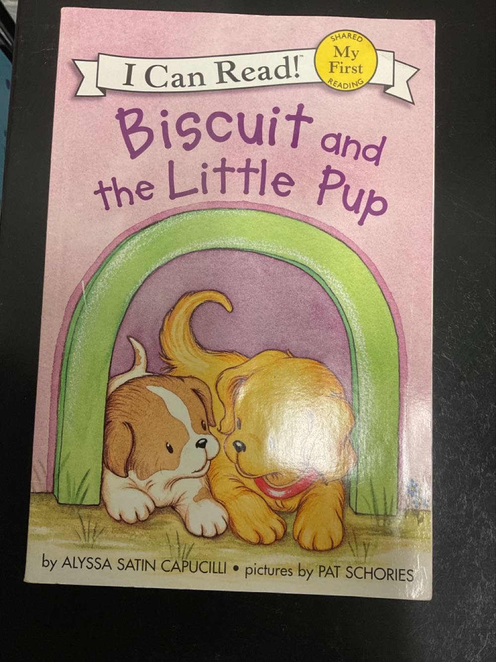 Biscuit and the Little Pup