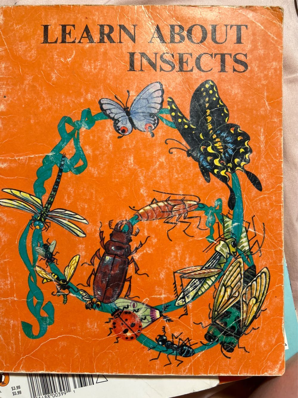 Learn About Insects