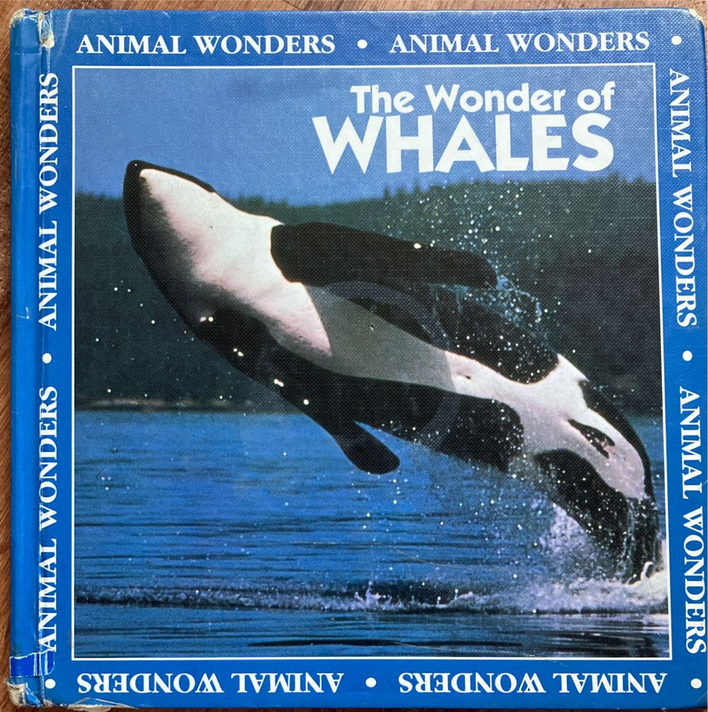 The Wonder of Whales