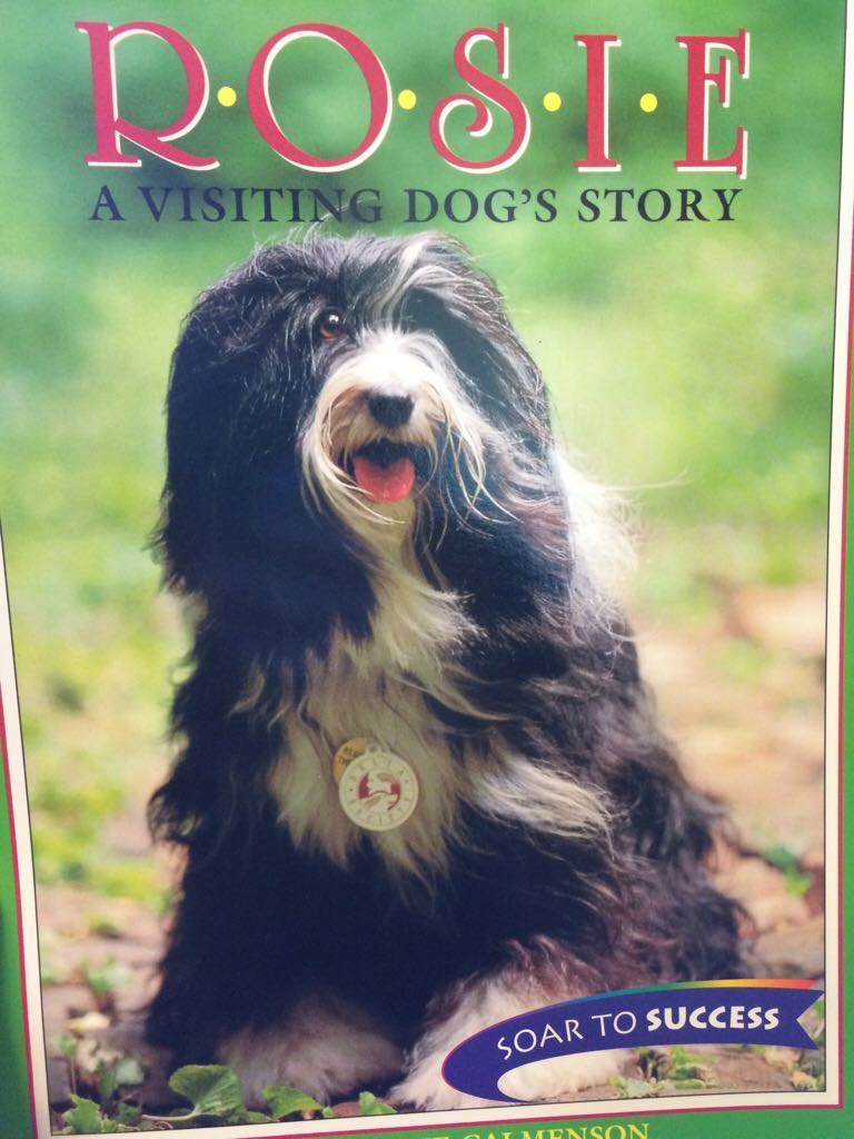 Rosie A Visiting Dog’s Story - Stephanie Calmenson book collectible [Barcode 9780395779101] - Main Image 1