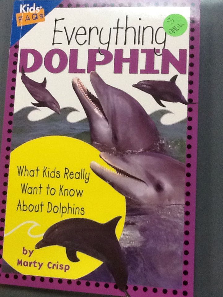 Everything Dolphin