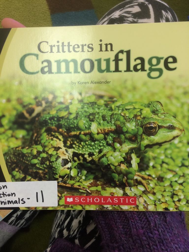 Critters in Camouflage