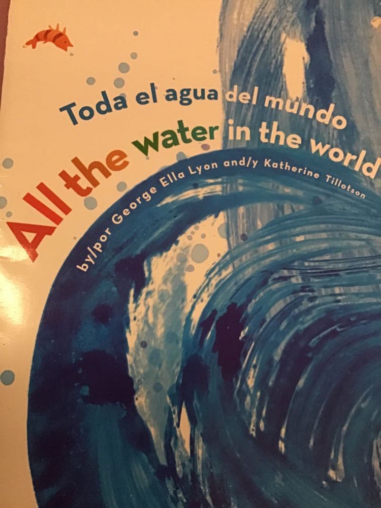 Todo El Agua Del Mundo - Ella Lyon, book collectible - Main Image 1