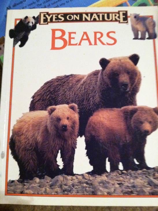 Bears