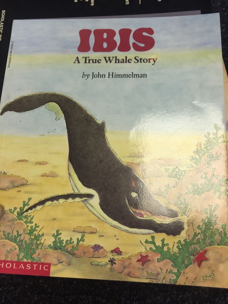 Ibis A True Whale Story