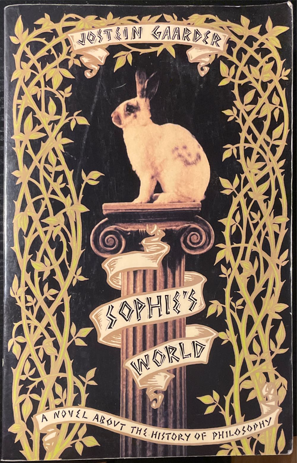 Sophie’s World