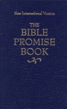 Bible Promise Book