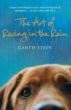 The Art Of Racing In the Rain - Garth Stein (Amazon Kindle - eBook) book collectible [Barcode 9780007281190] - Main Image 1
