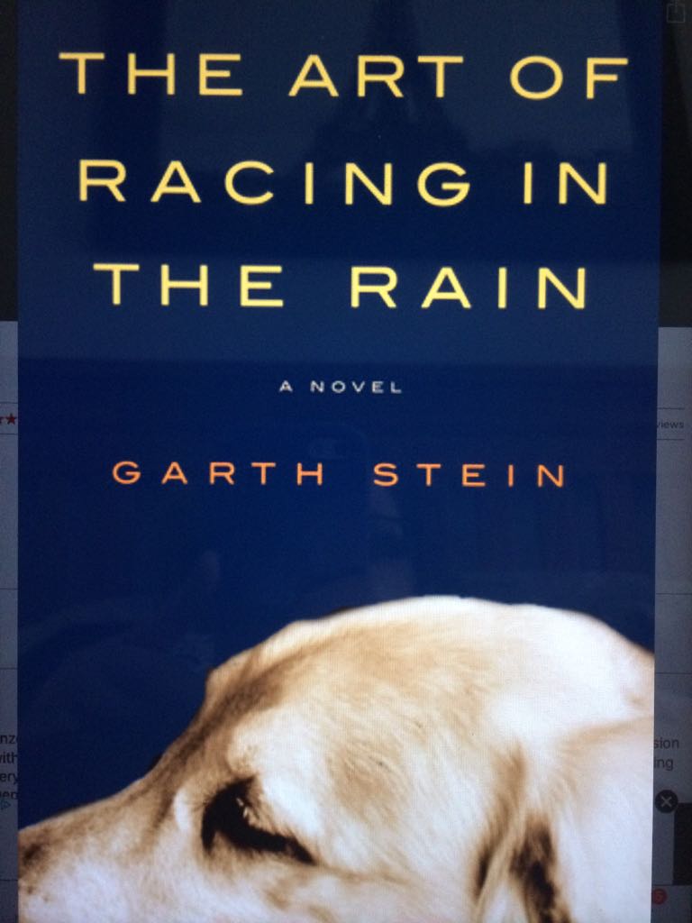 Art of Racing in the Rain - Garth Stein (Harper Collins Canada - eBook) book collectible [Barcode 9781554681723] - Main Image 1