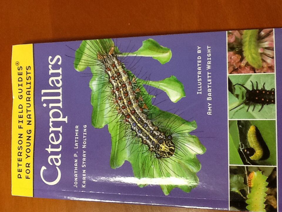 A Midsummer Nights Dream