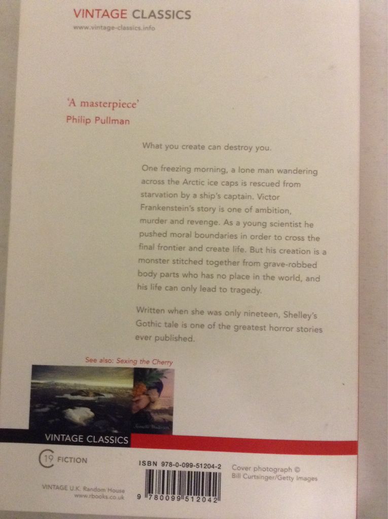 Frankenstein - Mary Shelley (Vintage Books USA - eBook) book collectible [Barcode 9780099512042] - Main Image 2