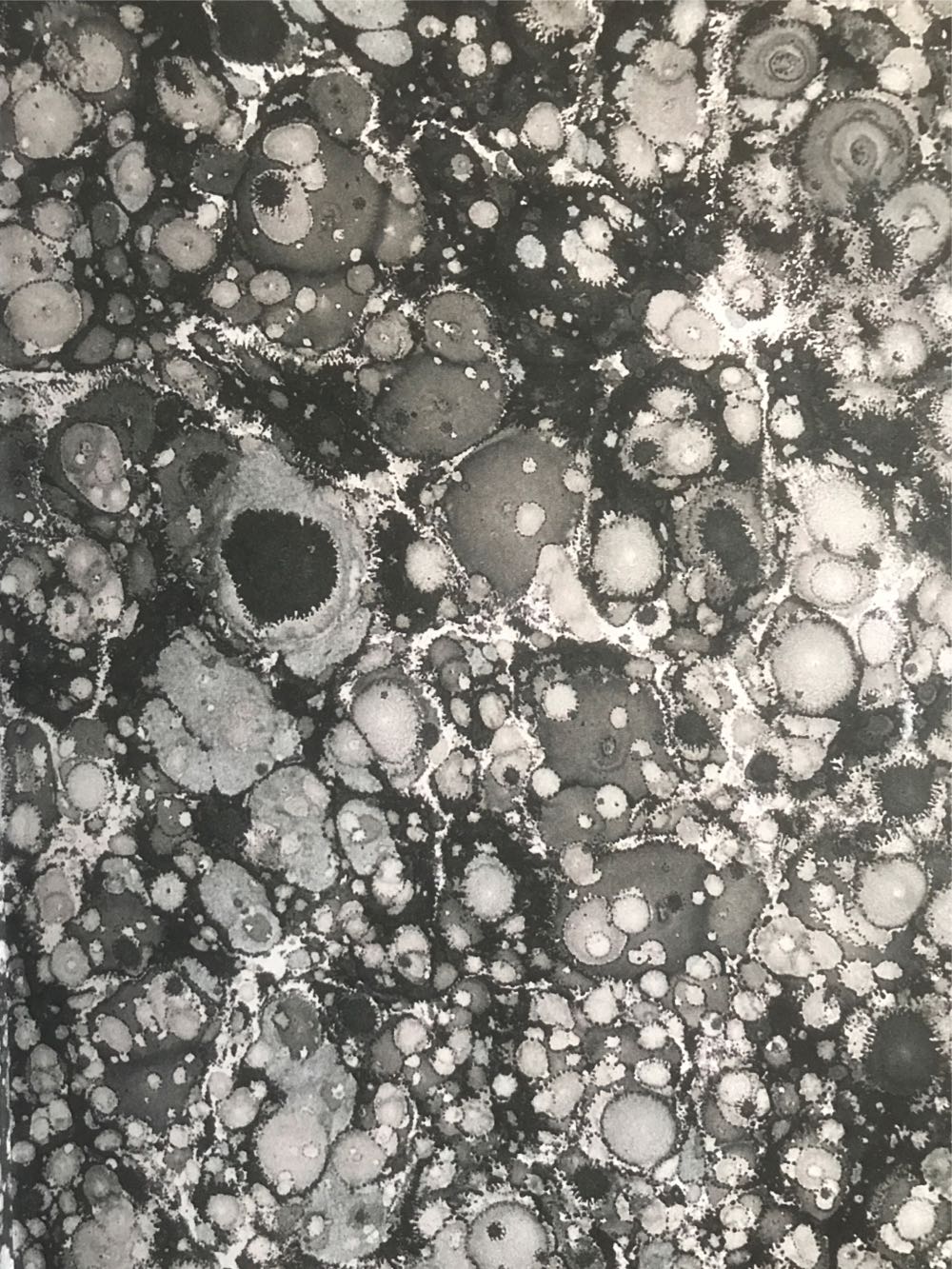 Frankenstein - Mary Wollstonecraft Shelley (Barnes & Noble, Inc. - Hardcover) book collectible [Barcode 9781435136168] - Main Image 4