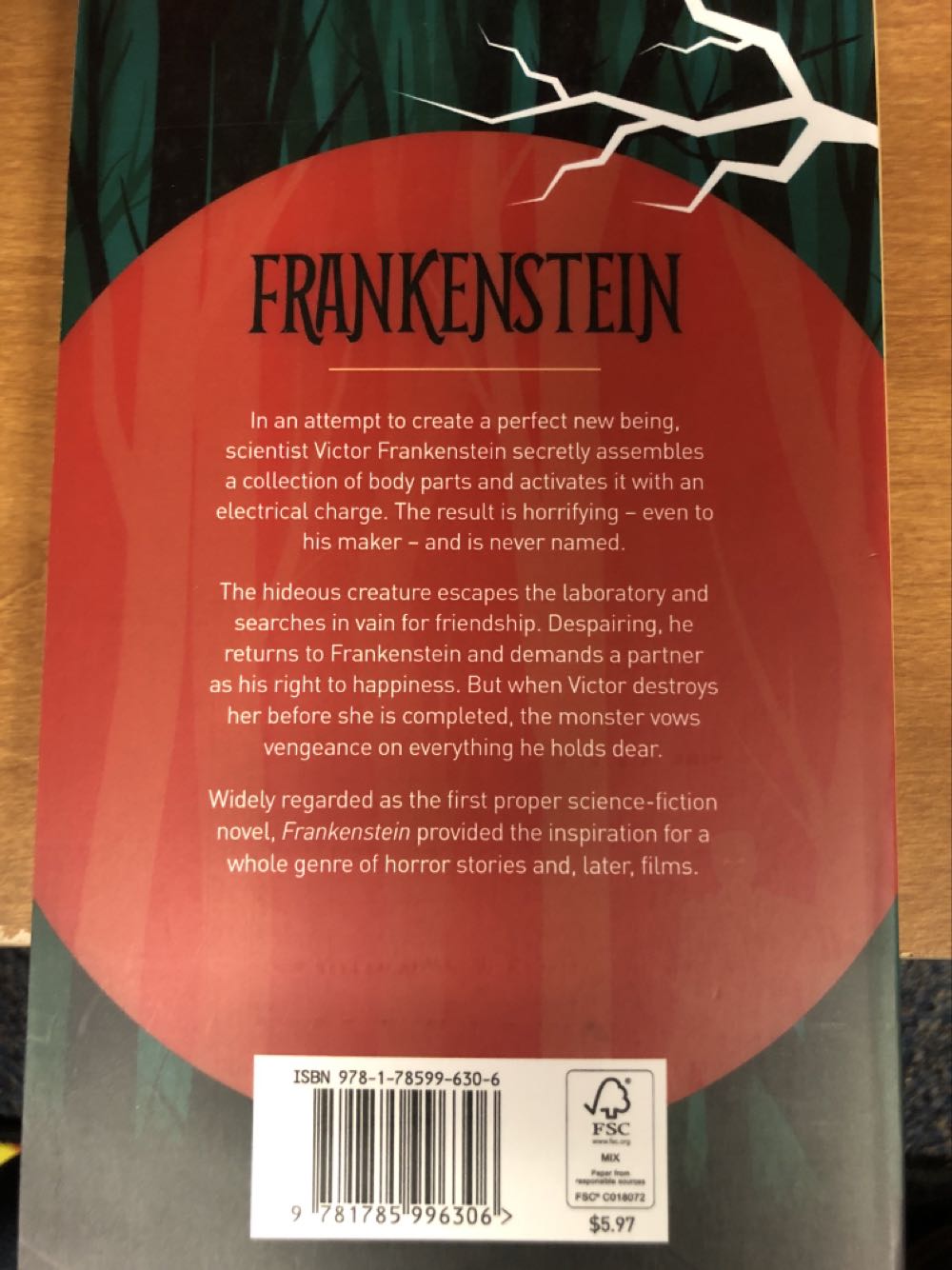 Frankenstein - Mary Shelley (Arcturus - Paperback) book collectible [Barcode 9781785996306] - Main Image 2